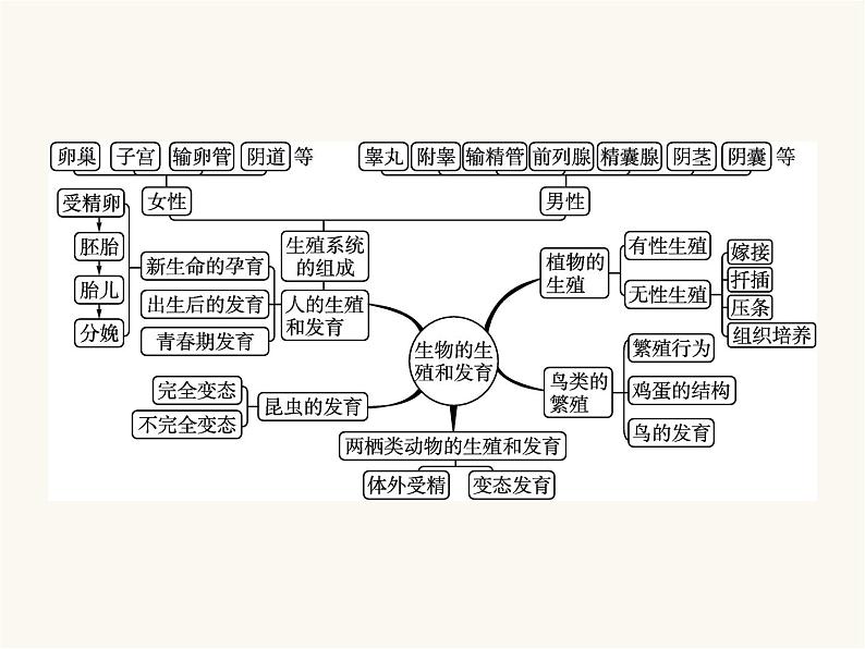 北师大版八年级生物上册第19章整合课件02