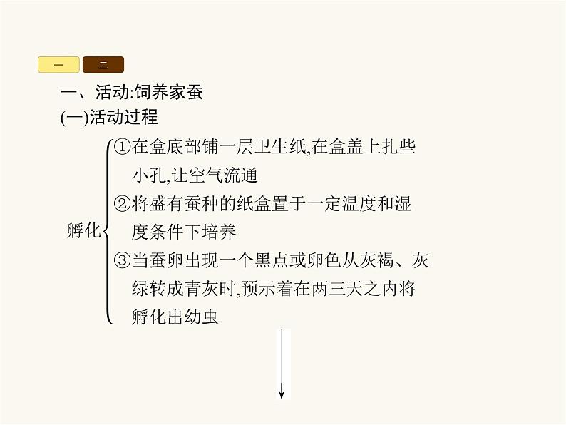 北师大版八年级生物上册第19章整合课件03