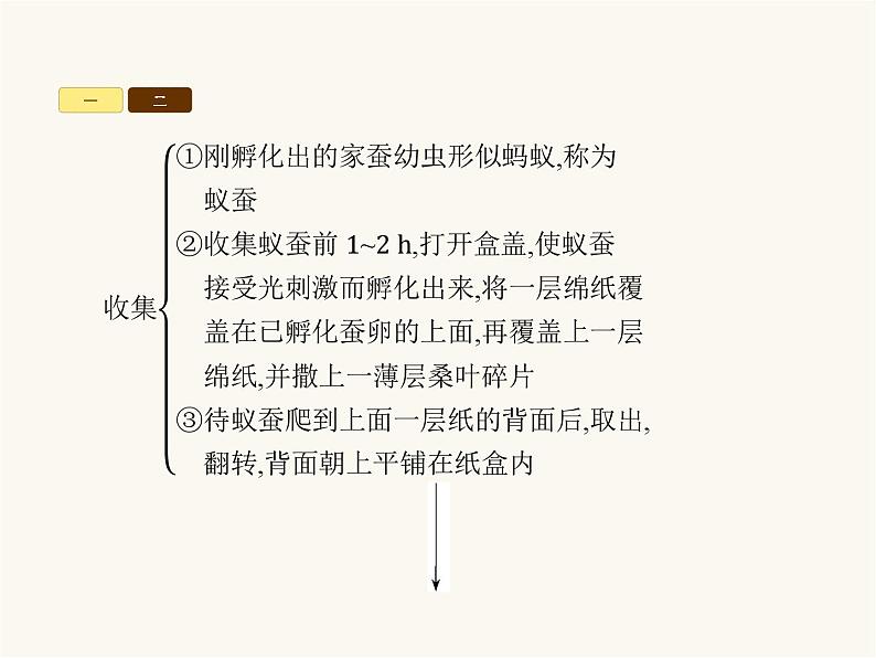 北师大版八年级生物上册第19章整合课件04