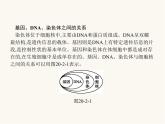北师大版八年级生物上册第20章第2节性状遗传的物质基础课件