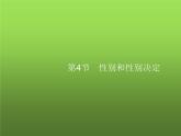 北师大版八年级生物上册第20章第4节性别和性别决定课件