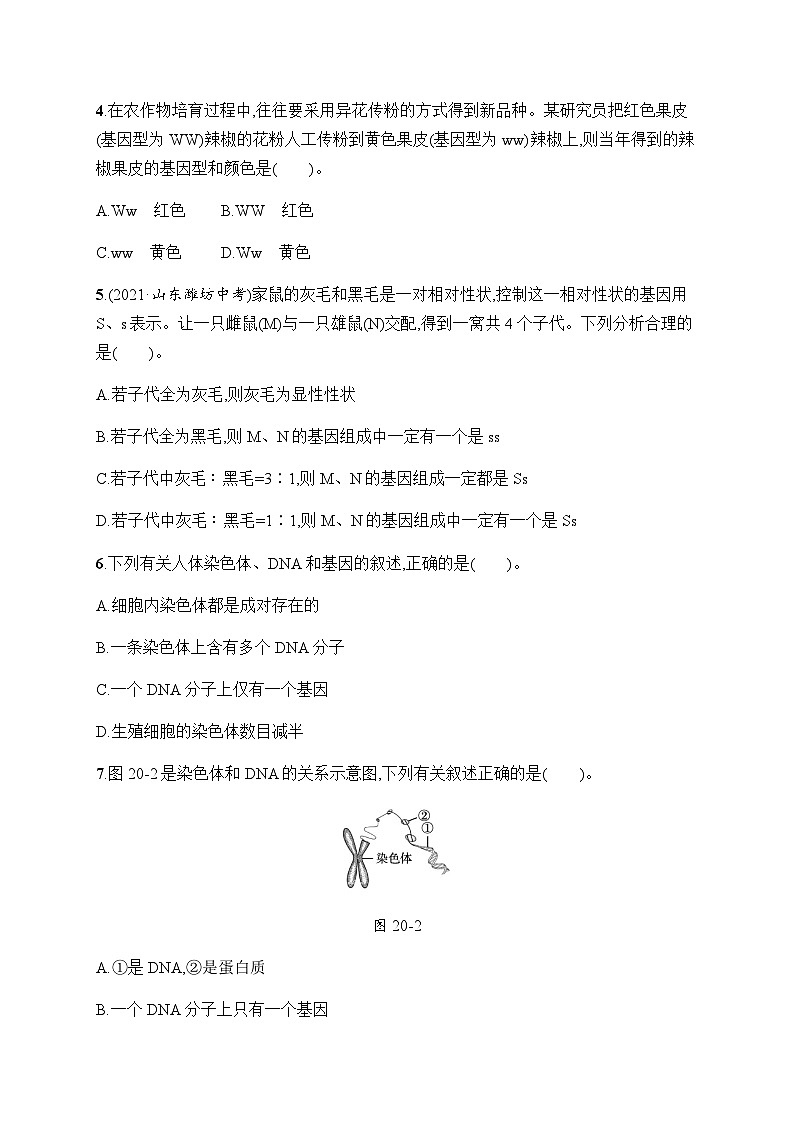 北师大版八年级生物上册第20章测评含答案02