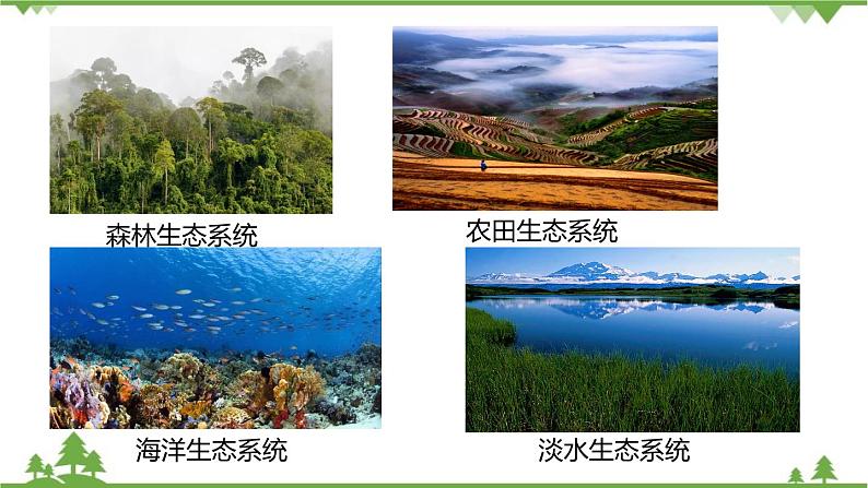 人教版生物七年级上册  生物与环境组成生态系统课件03