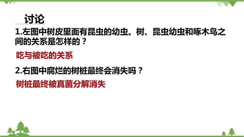 人教版生物七年级上册  生物与环境组成生态系统课件06