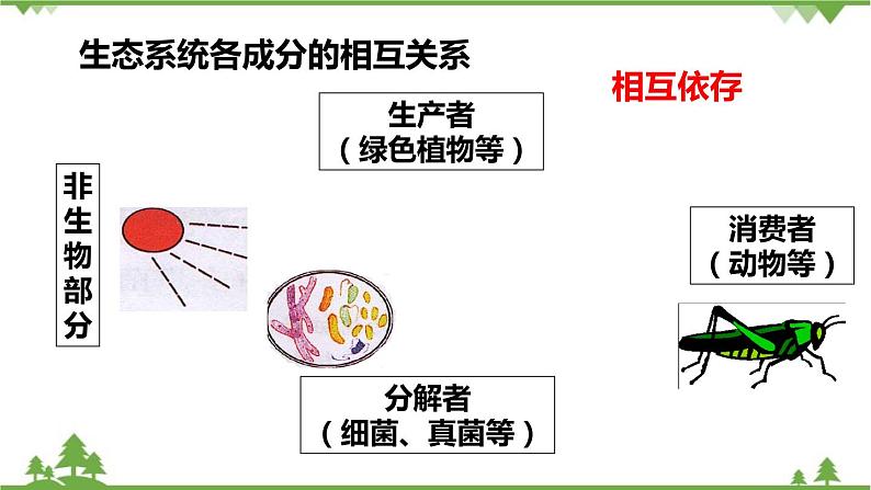 人教版生物七年级上册  生物与环境组成生态系统课件08