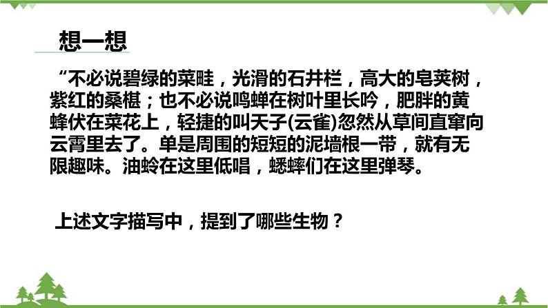 人教版生物七年级上册  调查周边环境中的生物课件02