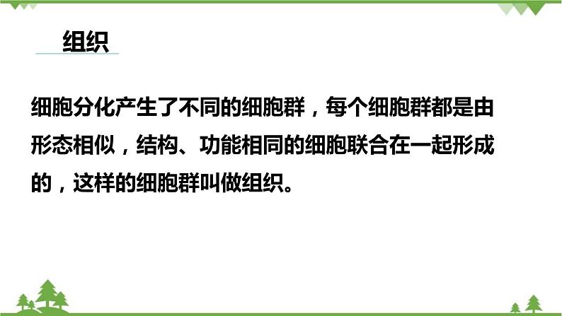 人教版生物七年级上册  动物体的结构层次课件03