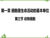 人教版生物七年级上册  动物细胞课件