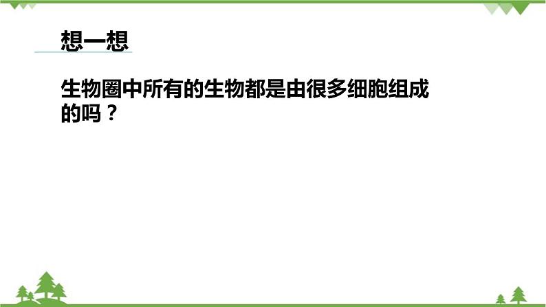 人教版生物七年级上册  单细胞生物课件02