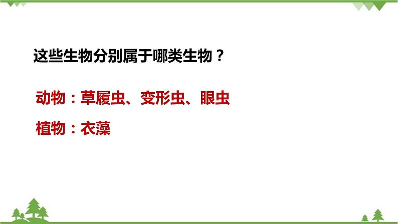 人教版生物七年级上册  单细胞生物课件04