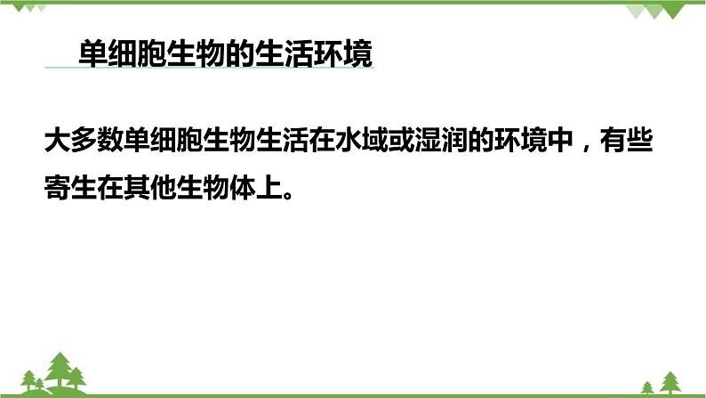 人教版生物七年级上册  单细胞生物课件05