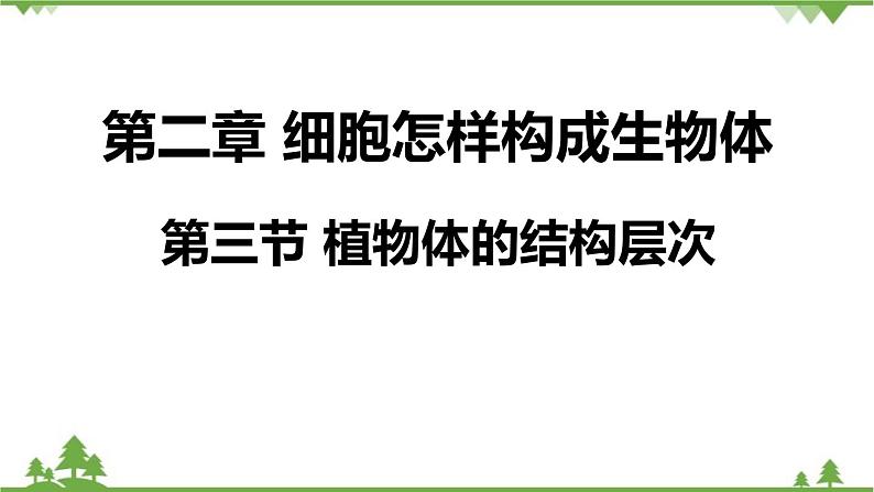 人教版生物七年级上册  植物体的结构层次课件01