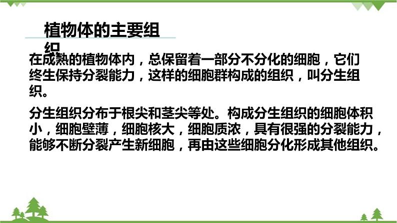 人教版生物七年级上册  植物体的结构层次课件05