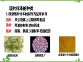 人教版生物七年级上册  植物细胞课件
