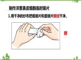 人教版生物七年级上册  植物细胞课件