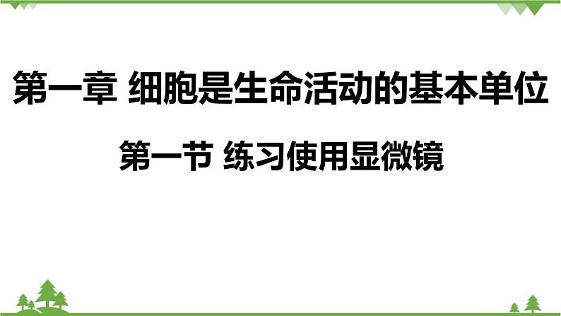 人教版生物七年级上册  练习使用显微镜课件01