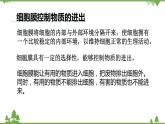 人教版生物七年级上册  细胞的生活课件