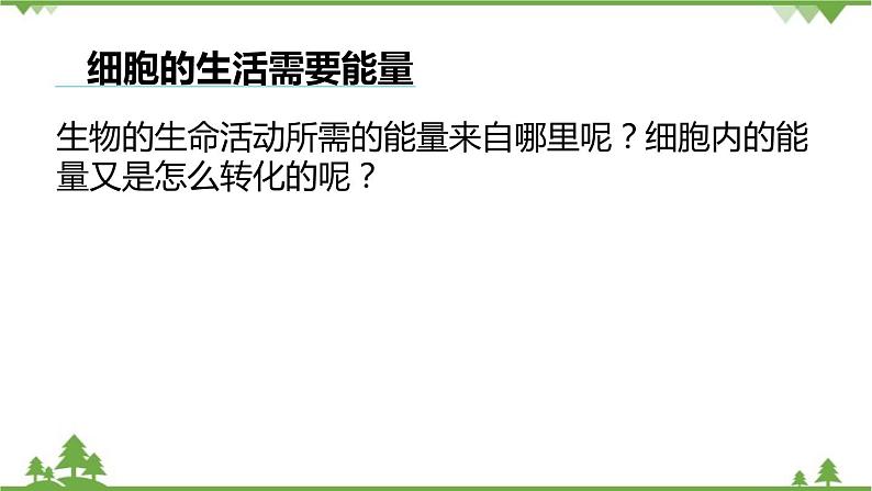 人教版生物七年级上册  细胞的生活课件05