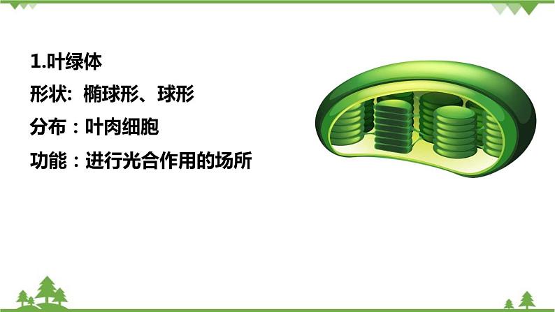 人教版生物七年级上册  细胞的生活课件06