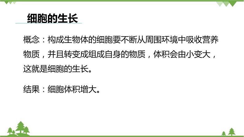 人教版生物七年级上册  细胞通过分裂产生新细胞课件第3页