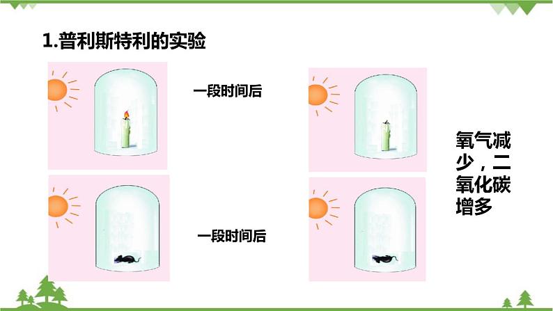 人教版生物七年级上册  光合作用吸收二氧化碳释放氧气课件04