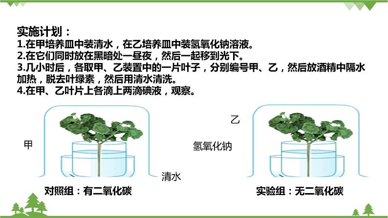 人教版生物七年级上册  光合作用吸收二氧化碳释放氧气课件08