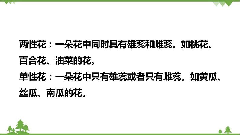 人教版生物七年级上册  开花和结果课件05