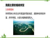 人教版生物七年级上册  爱护植被，绿化祖国课件