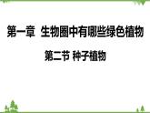 人教版生物七年级上册  种子植物课件