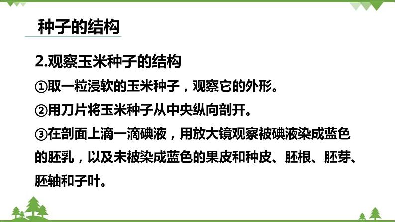 人教版生物七年级上册  种子植物课件第5页