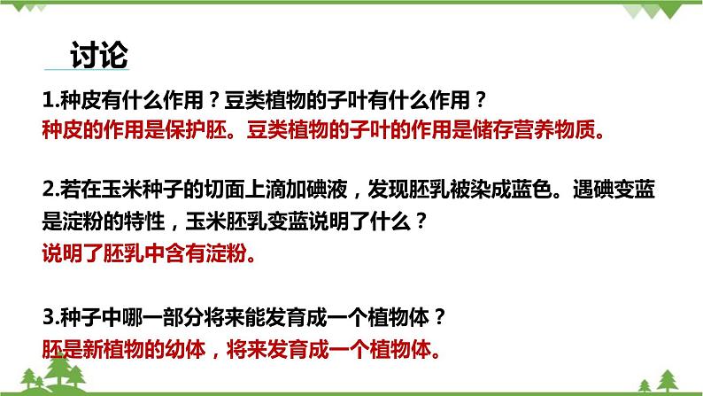 人教版生物七年级上册  种子植物课件第7页