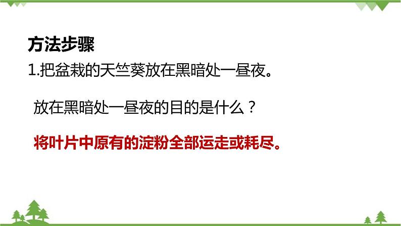 人教版生物七年级上册  绿色植物是生物圈中有机物的制造者课件04