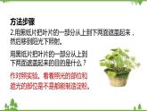 人教版生物七年级上册  绿色植物是生物圈中有机物的制造者课件