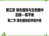 人教版生物七年级上册  绿色植物的呼吸作用课件