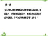 人教版生物七年级上册  绿色植物的呼吸作用课件