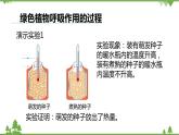 人教版生物七年级上册  绿色植物的呼吸作用课件