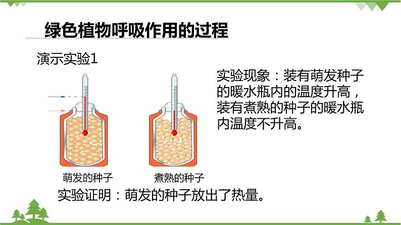 人教版生物七年级上册  绿色植物的呼吸作用课件03