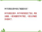 人教版生物七年级上册  绿色植物的呼吸作用课件
