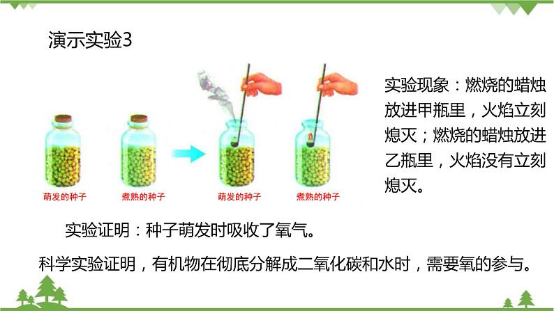 人教版生物七年级上册  绿色植物的呼吸作用课件06