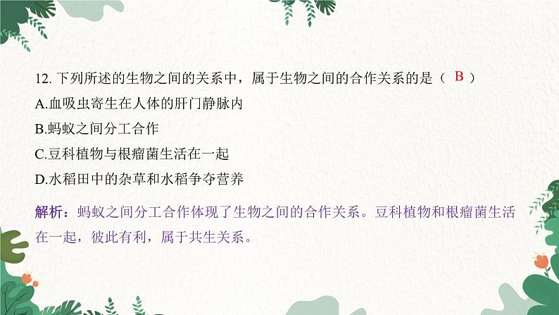 人教版生物七年级上册 第一单元 生物和生物圈 第二章 了解生物圈 第一节 生物与环境的关系课件08