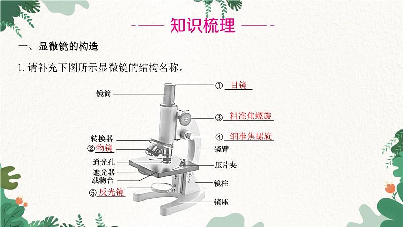 人教版生物七年级上册 第二单元 第一章 细胞是生命活动的基本单位 第一节 练习使用显微镜课件02