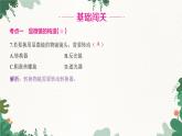 人教版生物七年级上册 第二单元 第一章 细胞是生命活动的基本单位 第一节 练习使用显微镜课件