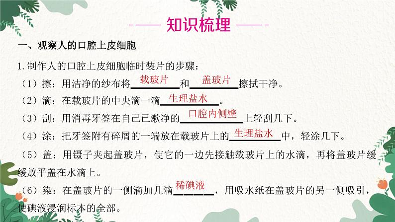 人教版生物七年级上册 第二单元 第一章 细胞是生命活动的基本单位 第三节 动物细胞课件02