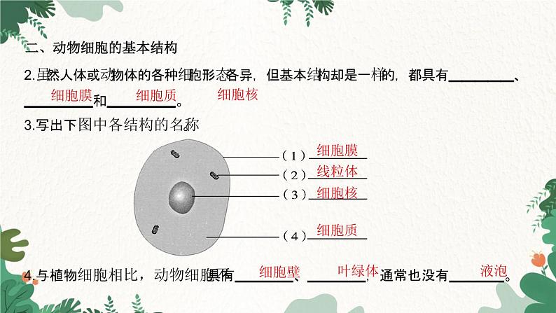 人教版生物七年级上册 第二单元 第一章 细胞是生命活动的基本单位 第三节 动物细胞课件03