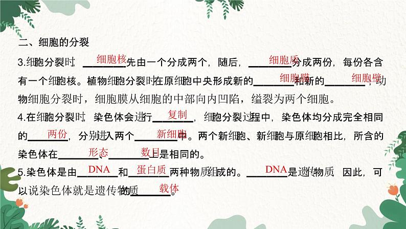 人教版生物七年级上册 第二单元 第二章 细胞怎样构成生物体 第一节 细胞通过分裂产生新细胞课件03