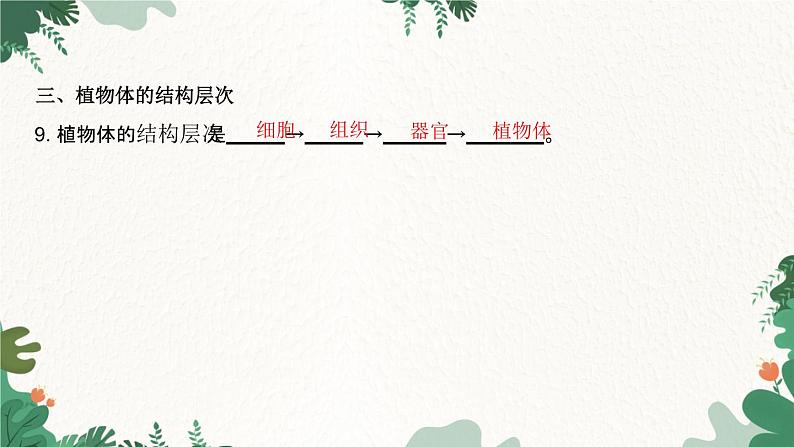 人教版生物七年级上册 第二单元 第二章 细胞怎样构成生物体 第三节 植物体的结构层次课件04