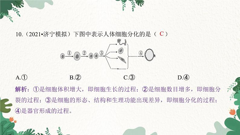 人教版生物七年级上册 第二单元 第二章 细胞怎样构成生物体 第二节 动物体的结构层次课件05