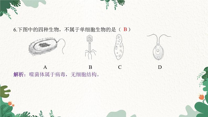 人教版生物七年级上册 第二单元 第二章 细胞怎样构成生物体 第四节 单细胞生物课件06