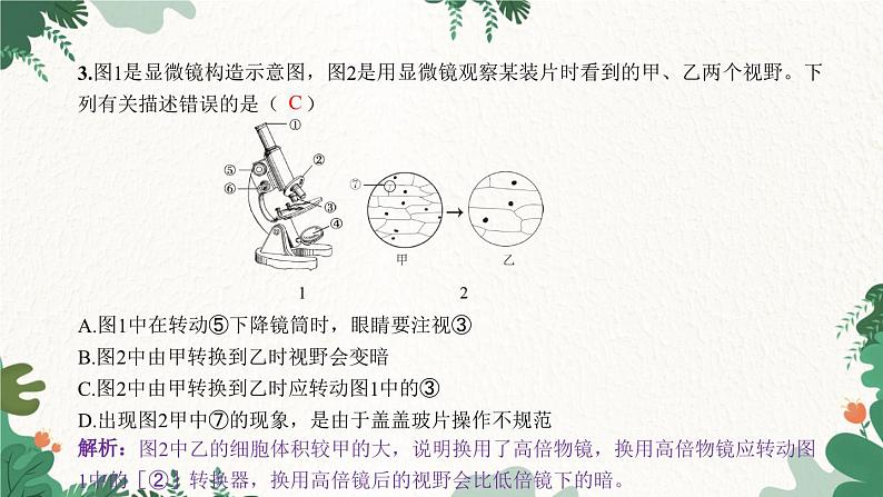 人教版生物七年级上册 第二单元过关检测卷课件第4页