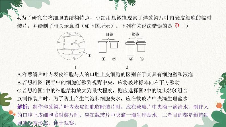 人教版生物七年级上册 第二单元过关检测卷课件第5页